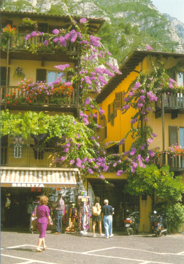 TRENTINO ALTO ADIGE - 1994 - immagine 11