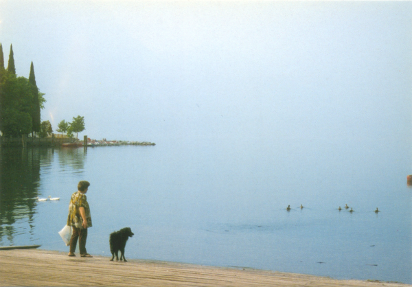 TRENTINO ALTO ADIGE - 1994 - immagine 16