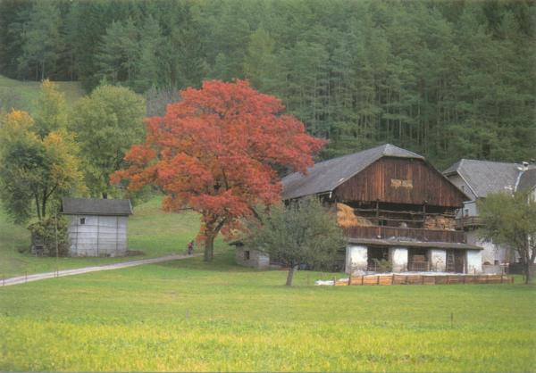 TRENTINO ALTO ADIGE - 1994 - immagine 19