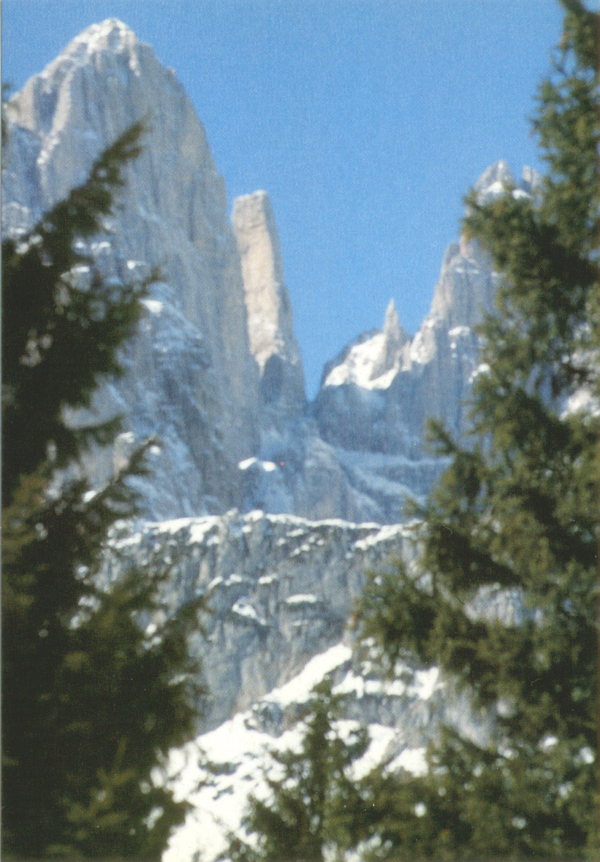 TRENTINO ALTO ADIGE - 1994 - immagine 8