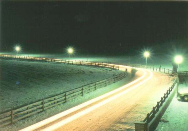 TRENTINO ALTO ADIGE - 1994 - immagine 2