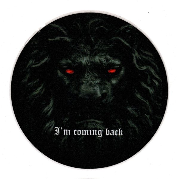 SPILLA LEONE SAN MARCO NERO: I'm coming back - immagine 2